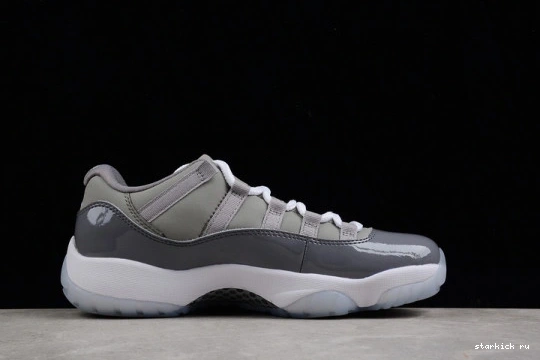 Jordan Retro Grey Cool  528895-003  Low 11 528895-003 0118